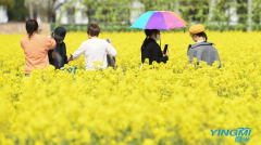 China to implement 2.5-day weekend to boost consumption after COVID-19