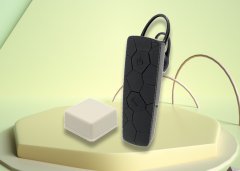 Reasons for the popularity of audio guide system.