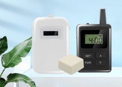 Why can audio guide gradually replace the traditional way of explanation?