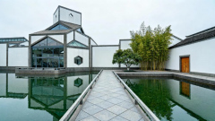 IS IT BETTER FOR THE SUZHOU MUSEUM TO HAVE PROFESSIONAL GUIDES OR TO RENT AUDIO G